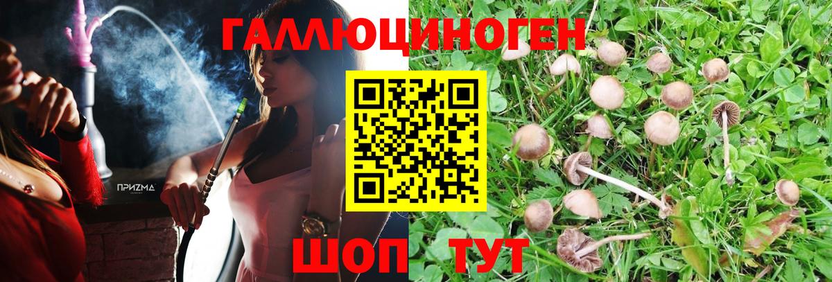 Галлюциногенные грибы прущие грибы Троицк