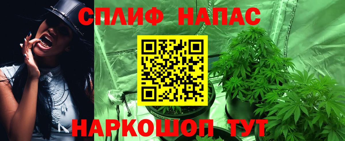 Бошки Шишки ГИДРОПОН  Вход с VPN  Марихуана гибрид  Канабис гибрид  Троицк 